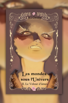 Les mondes sous l'Univers, Tome 2 - Broché